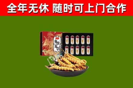 丰南回收冬虫夏草价格